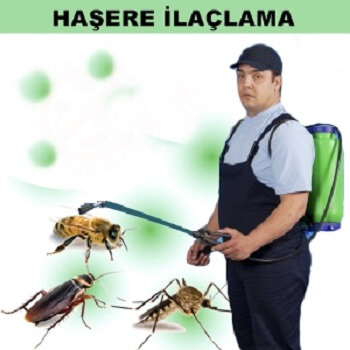 Amasra Böcek İlaçlama